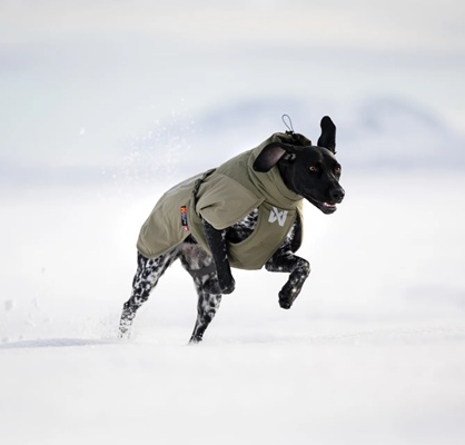 Prodotti Non Stop Dogwear a Bergamo, Milano e Brescia